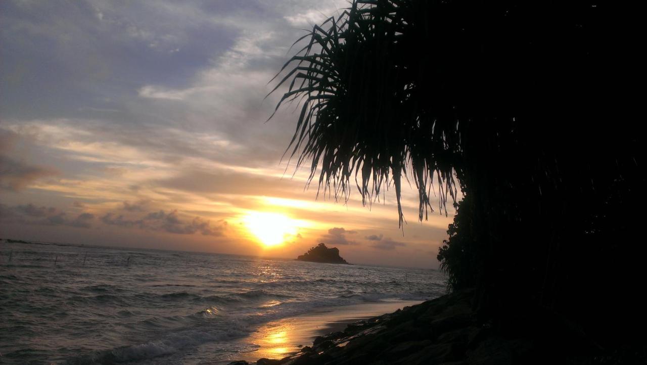 Sundance Surf Coconut Point Otel Weligama Dış mekan fotoğraf